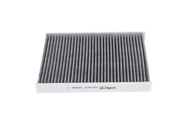AMC Filter Interieurfilter FCA-10217C