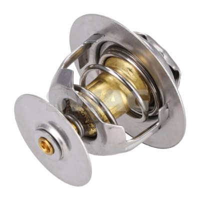 Swag Thermostaat 50 91 8981