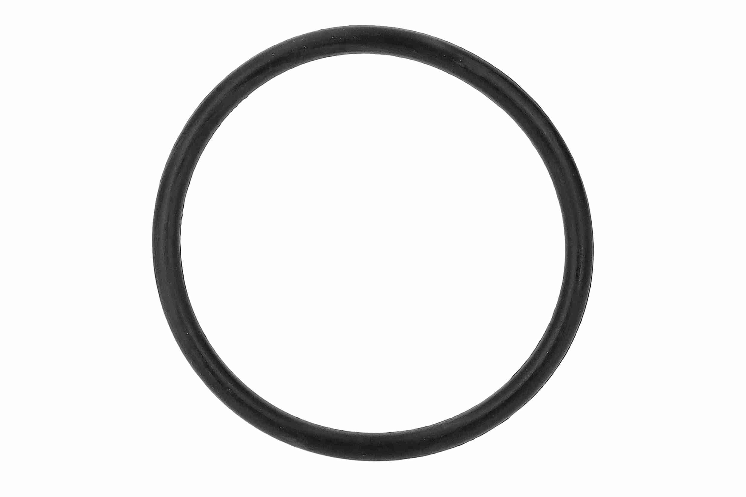 Vaico Waterpomp V10-50052