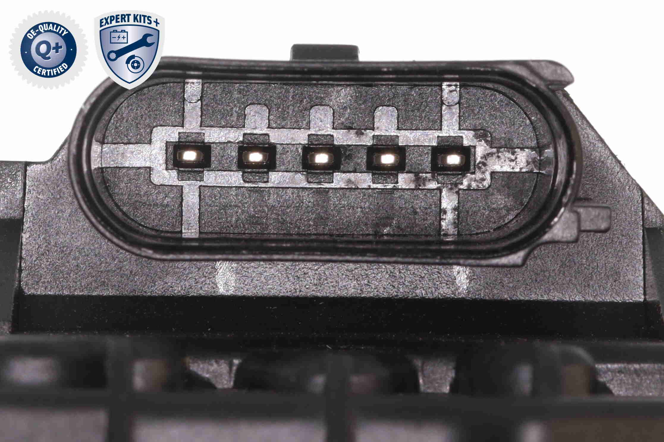 Vaico Distributieriem kit inclusief waterpomp V10-50114