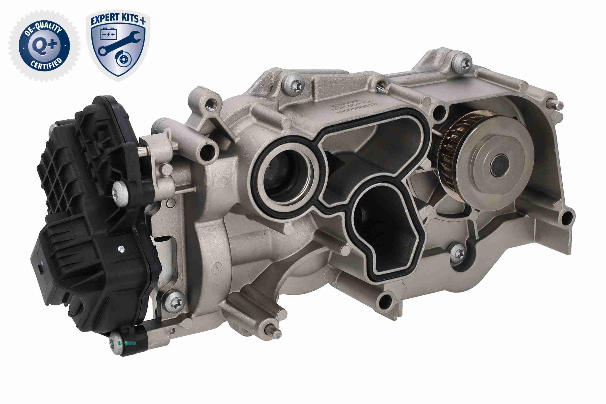 Vaico Distributieriem kit inclusief waterpomp V10-50114