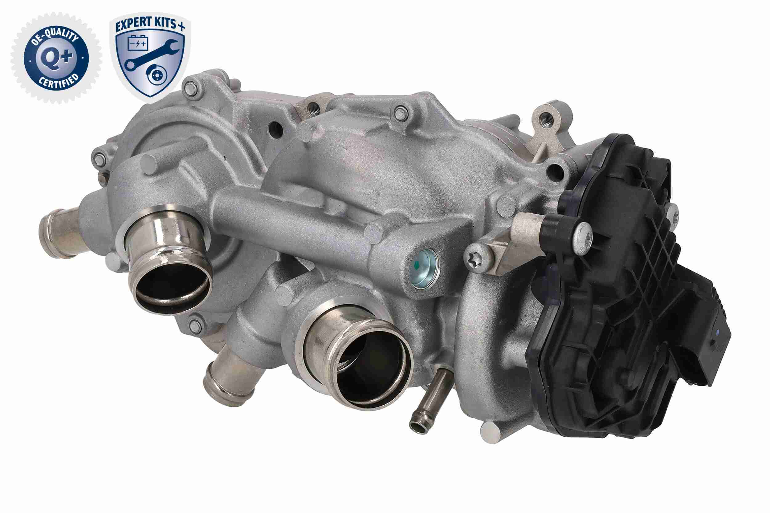 Vaico Distributieriem kit inclusief waterpomp V10-50114