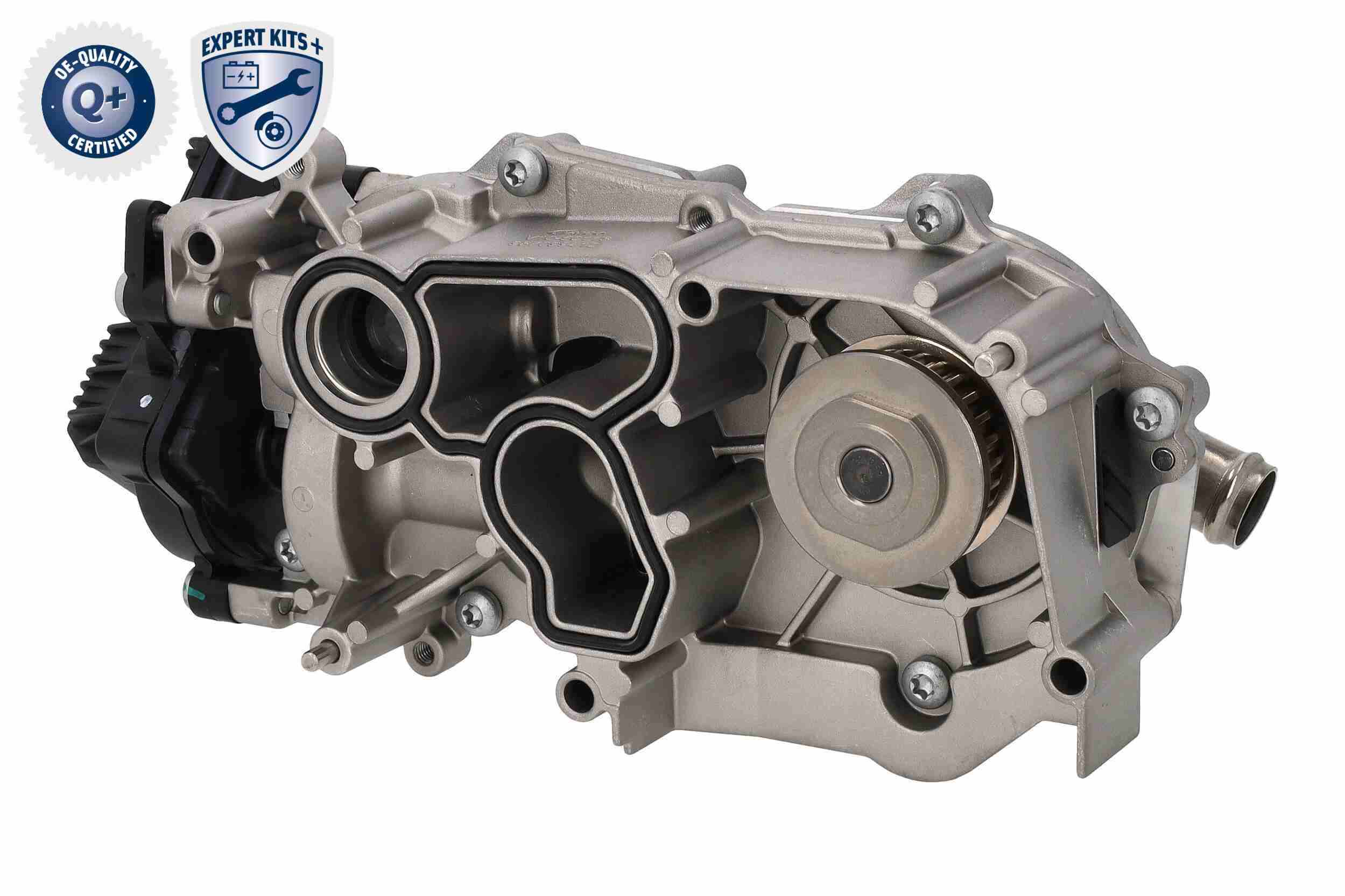 Vaico Distributieriem kit inclusief waterpomp V10-50114