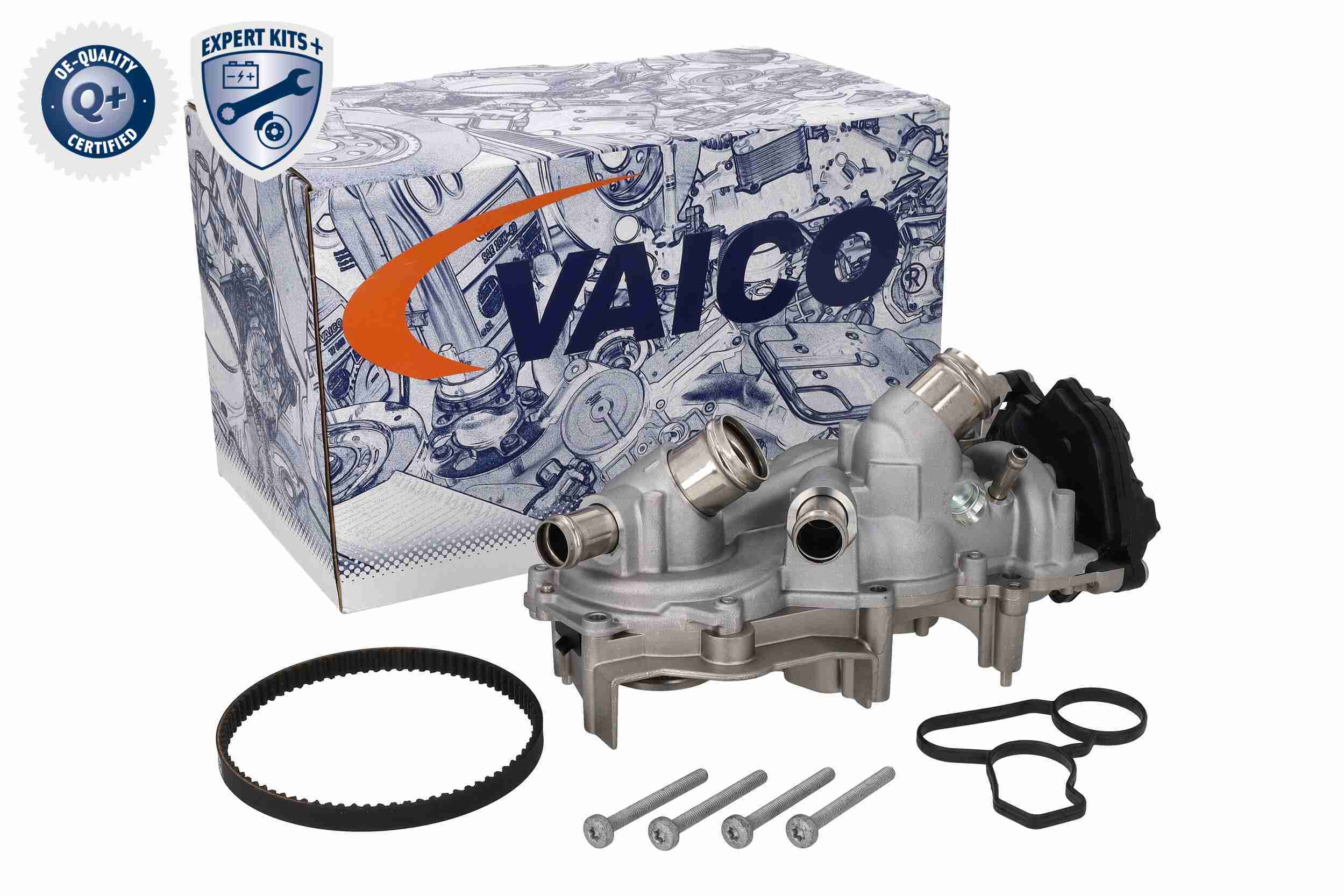 Vaico Distributieriem kit inclusief waterpomp V10-50114