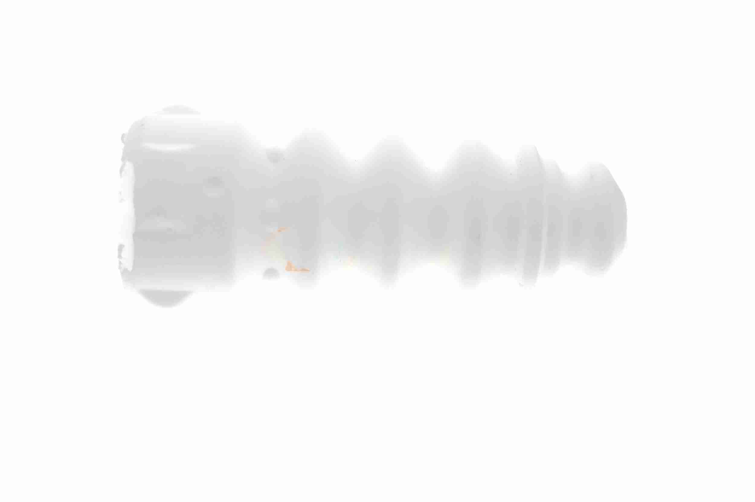 Vaico Aanslagrubber vering V10-6088