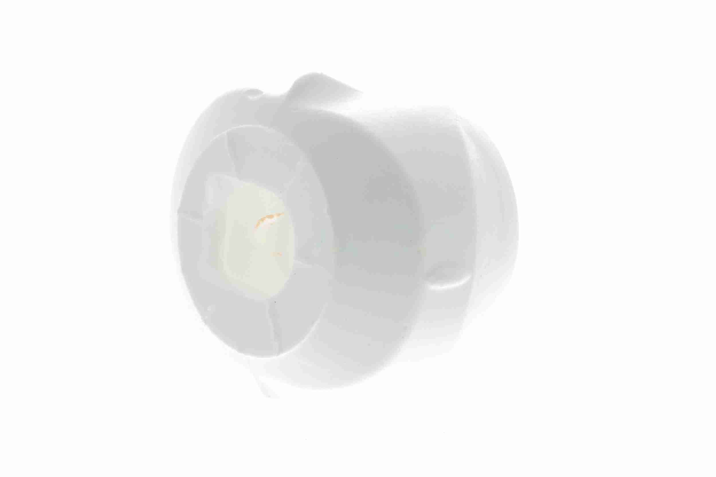 Vaico Motorsteun rubber V10-6098