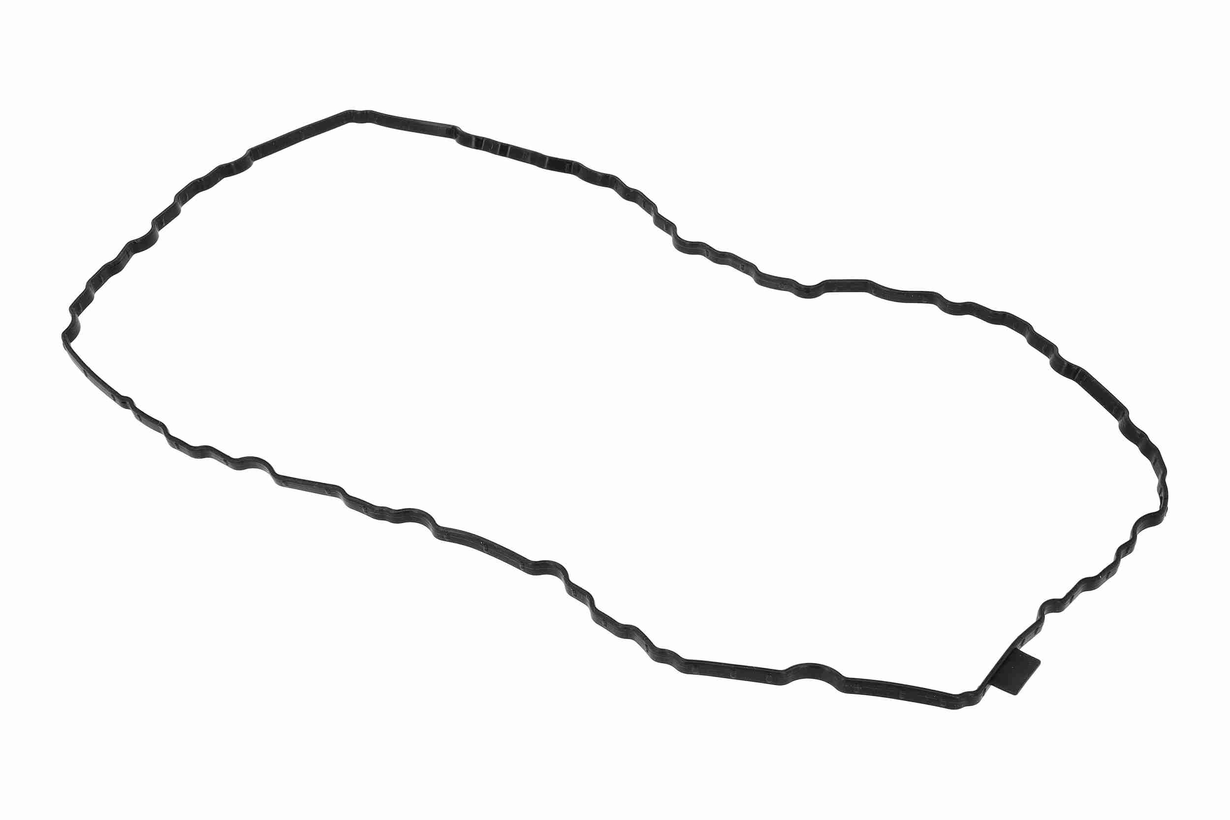 Vaico Carter pakking V10-6964