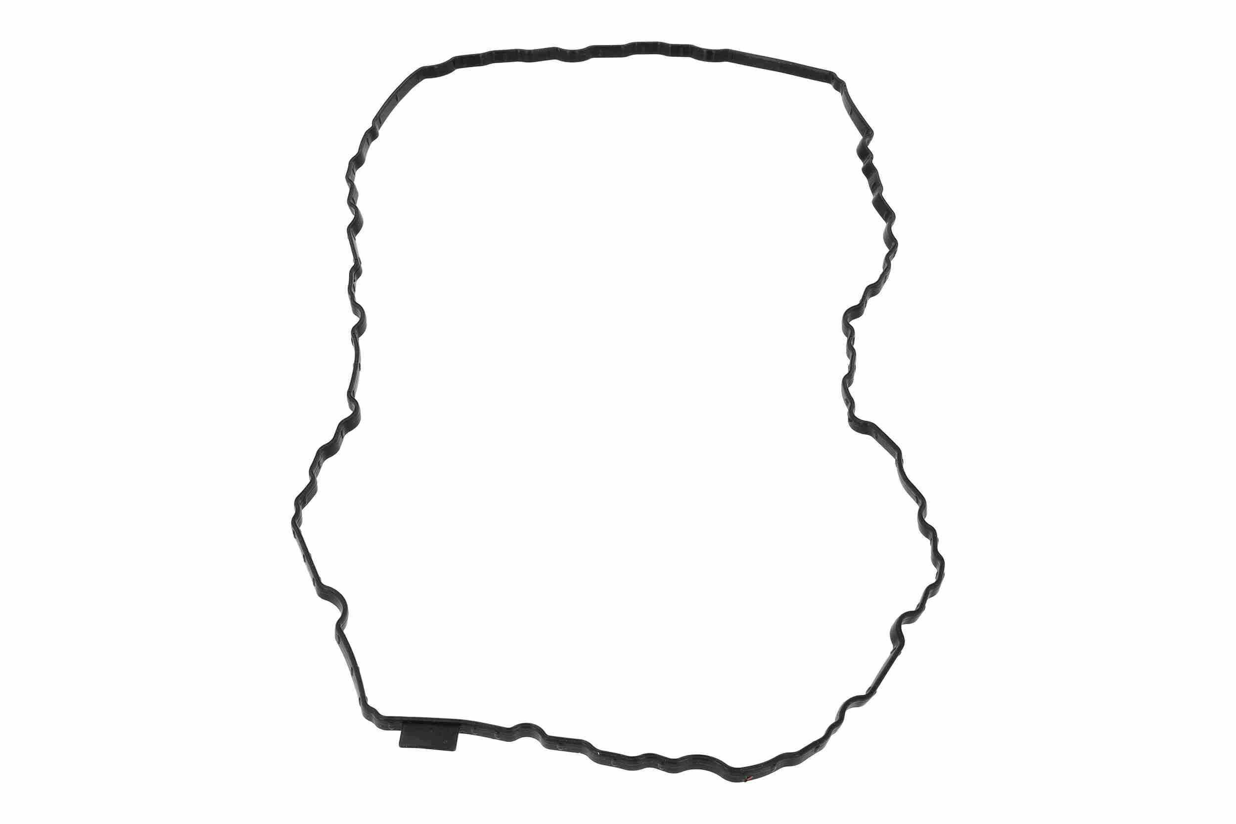 Vaico Carter pakking V10-6964