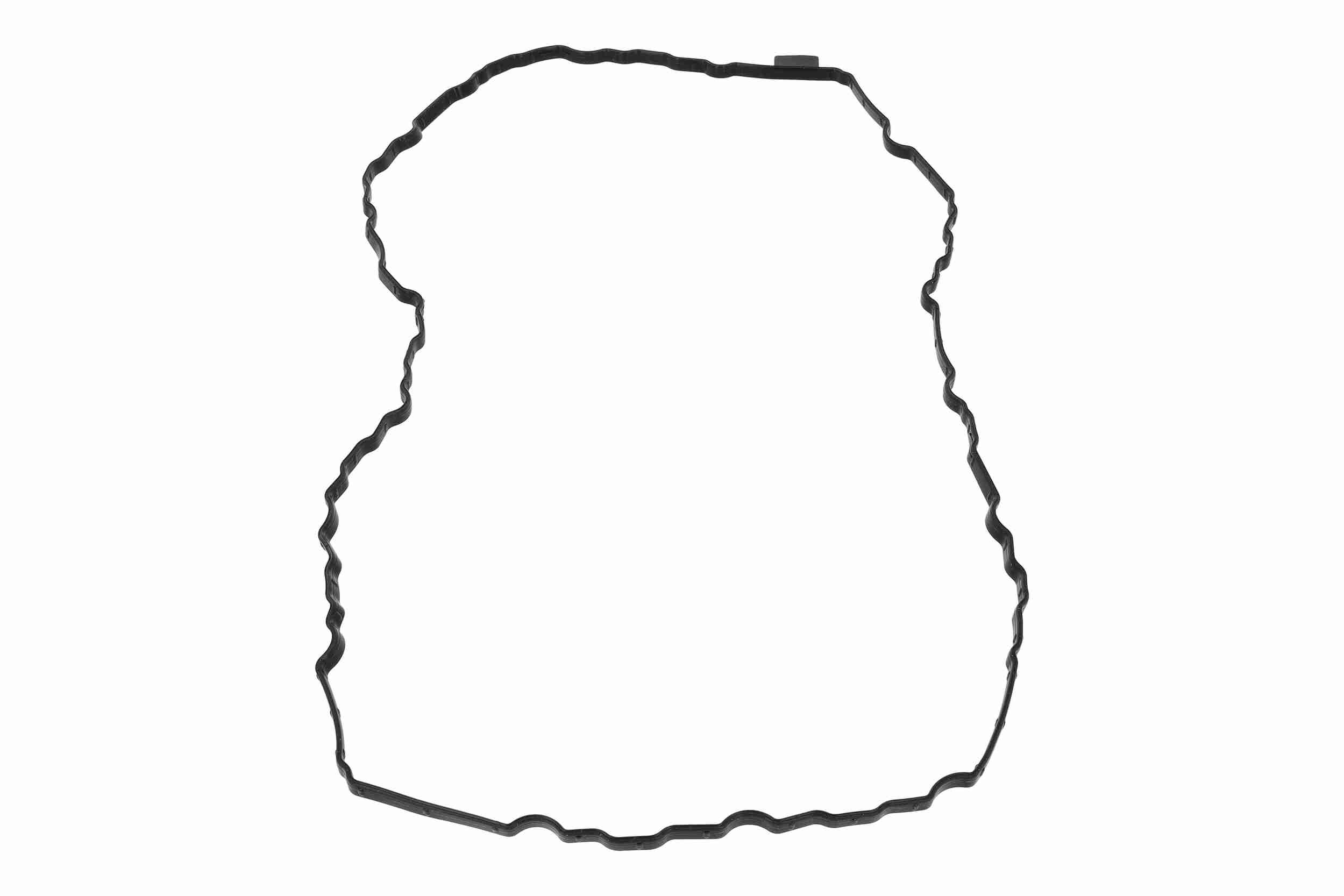 Vaico Carter pakking V10-6964