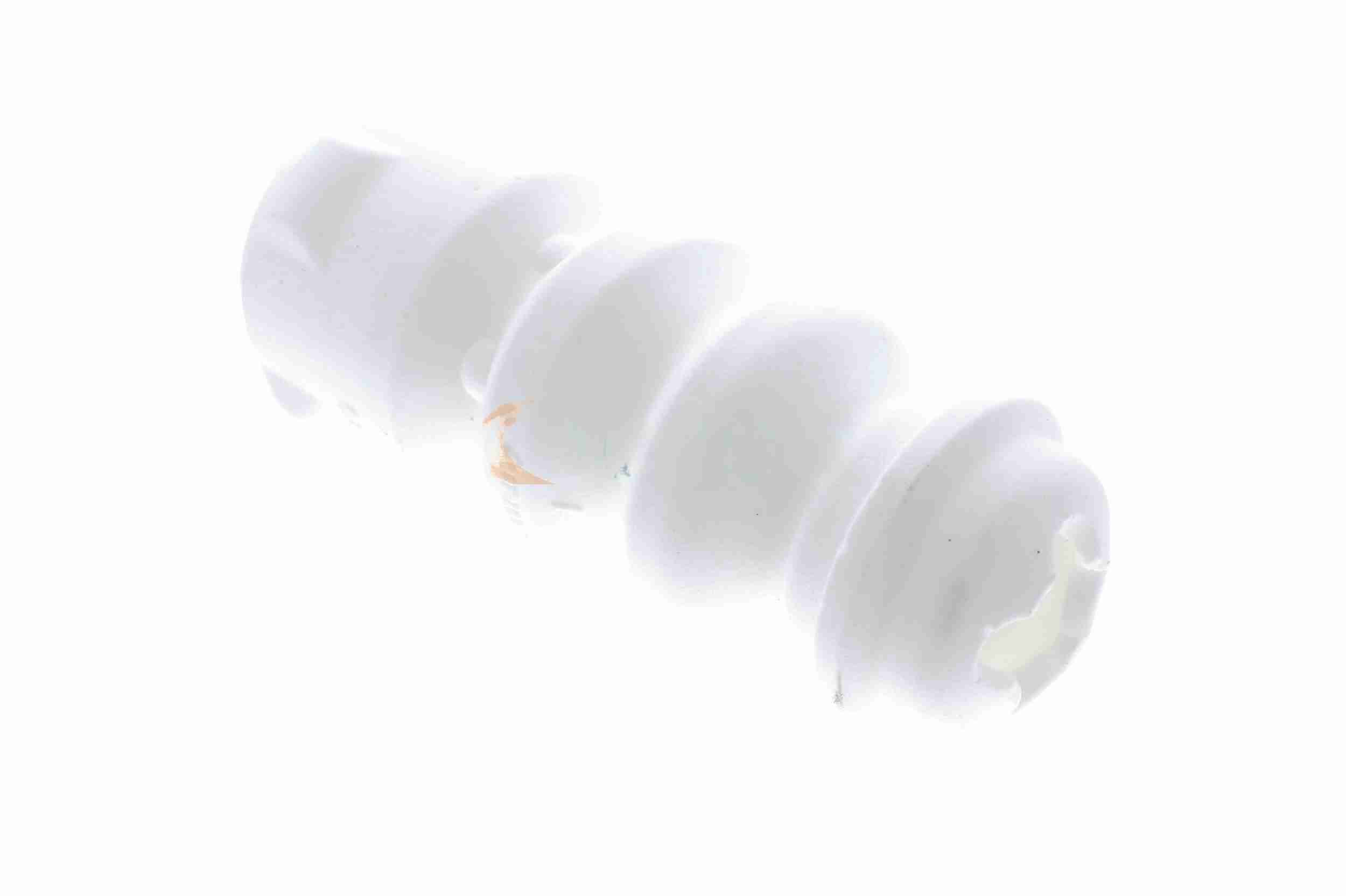 Vaico Aanslagrubber vering V10-8229