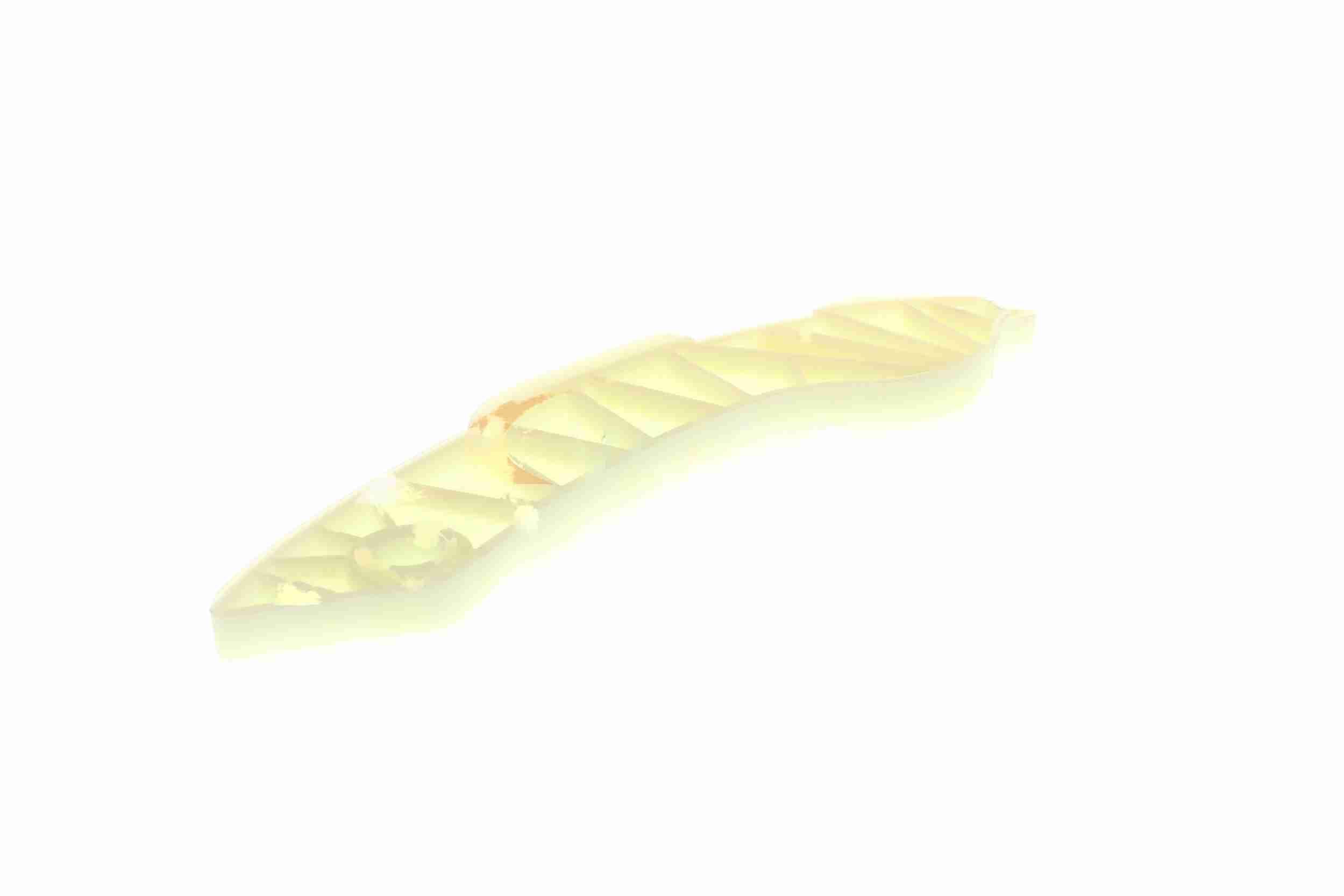 Vaico Distributieketting geleiderailvoering V20-3134