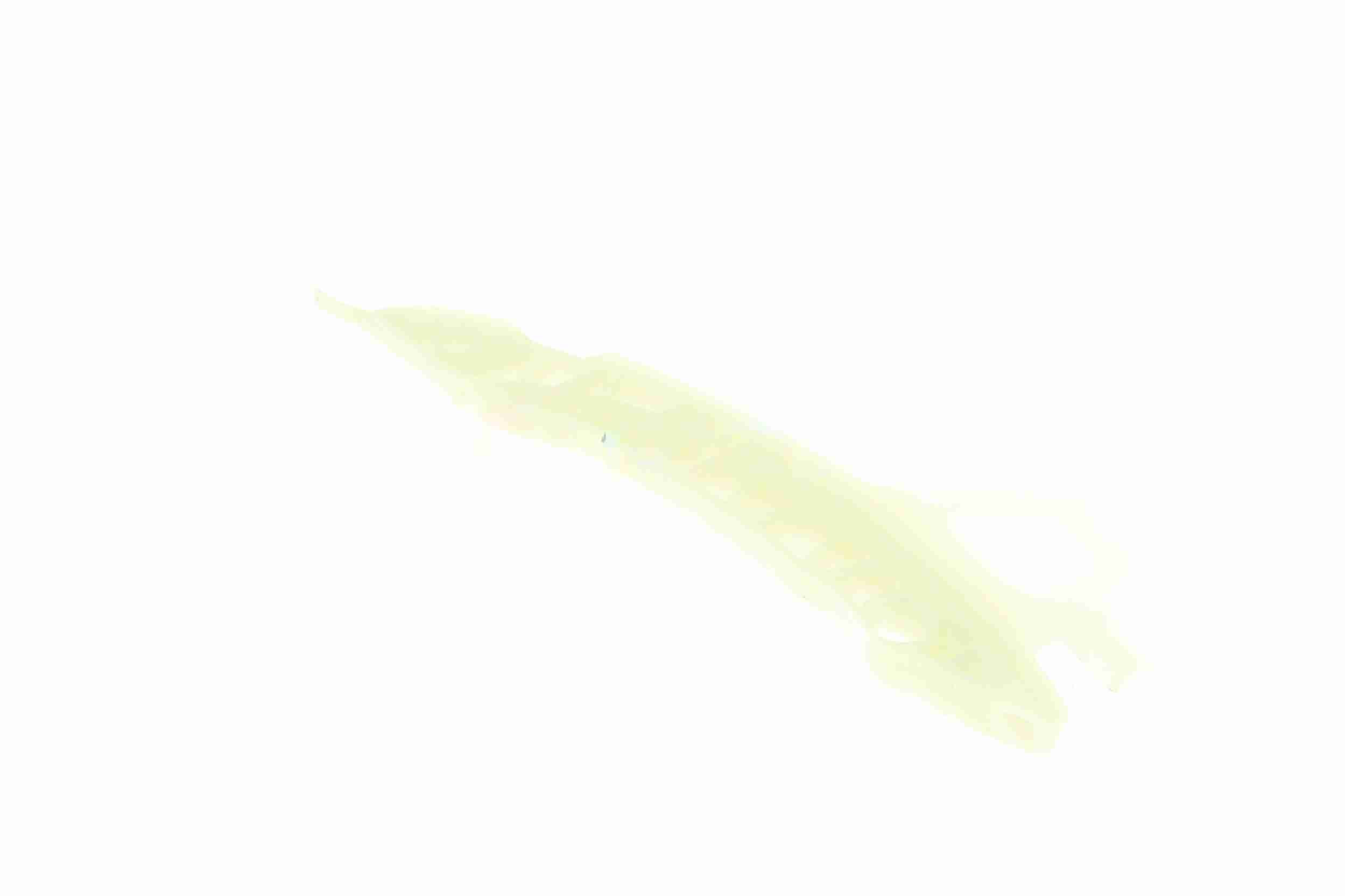 Vaico Distributieketting geleiderailvoering V20-3135