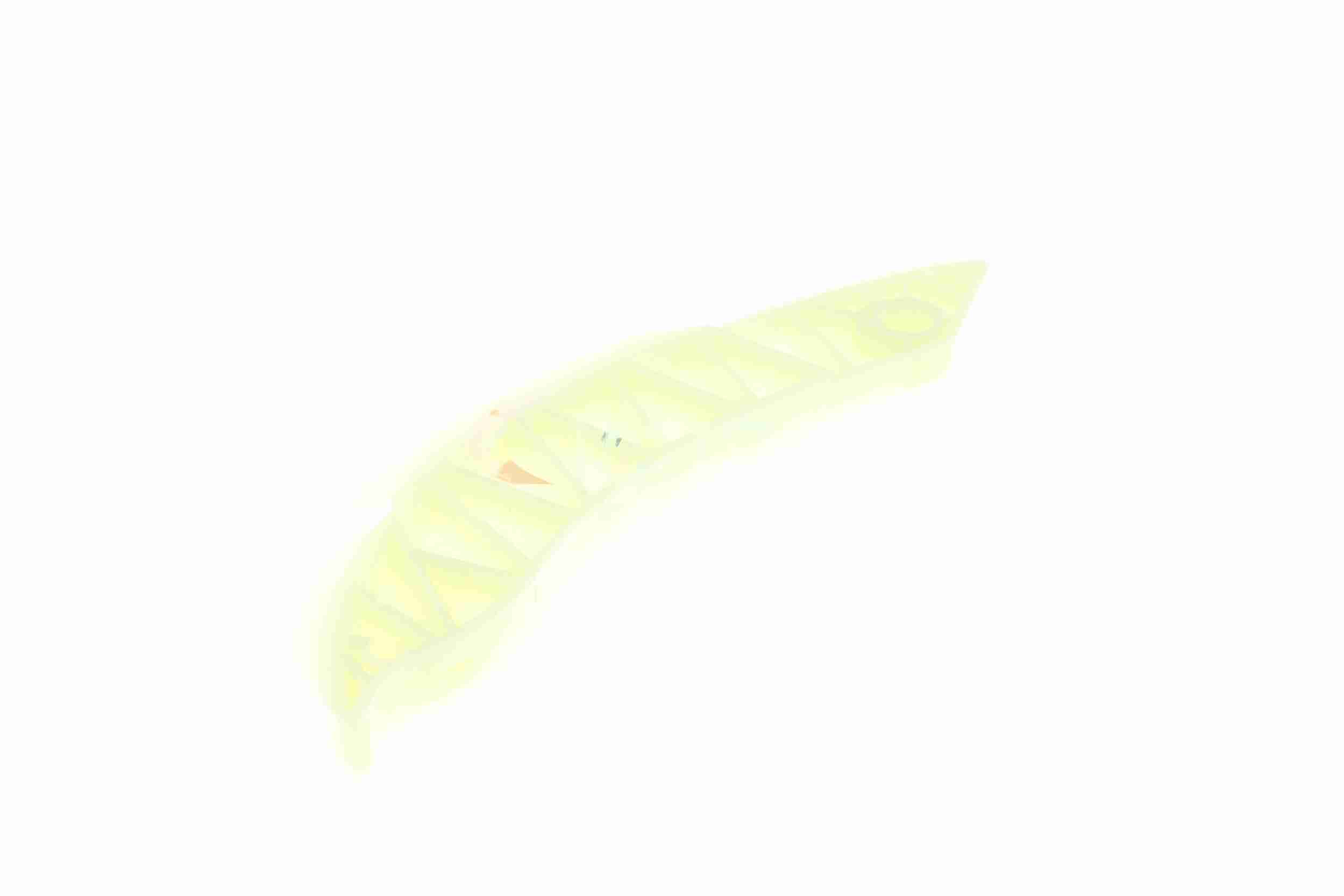 Vaico Distributieketting geleiderailvoering V20-3143