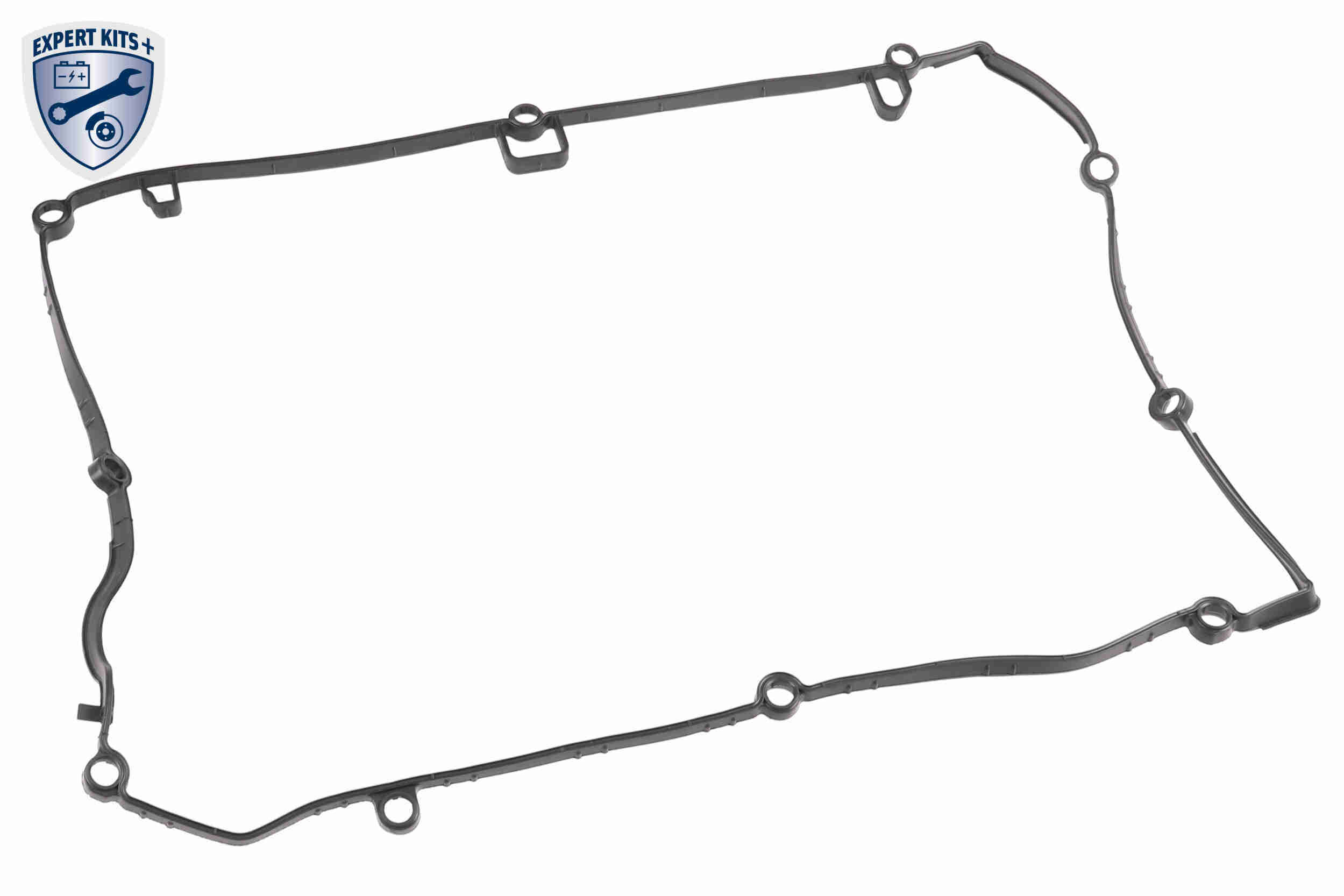 Vaico Kleppendeksel V22-0808