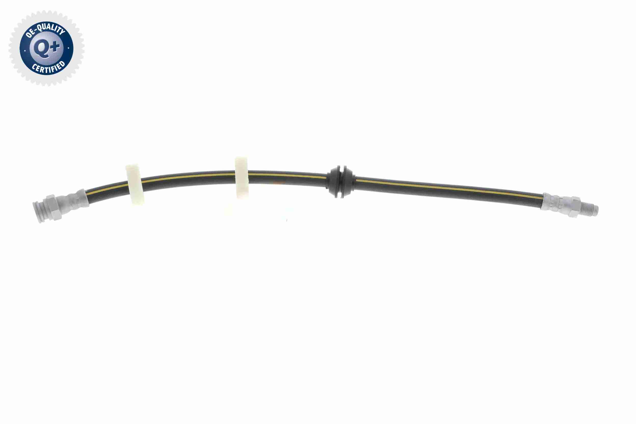 Vaico Remslang V24-0081