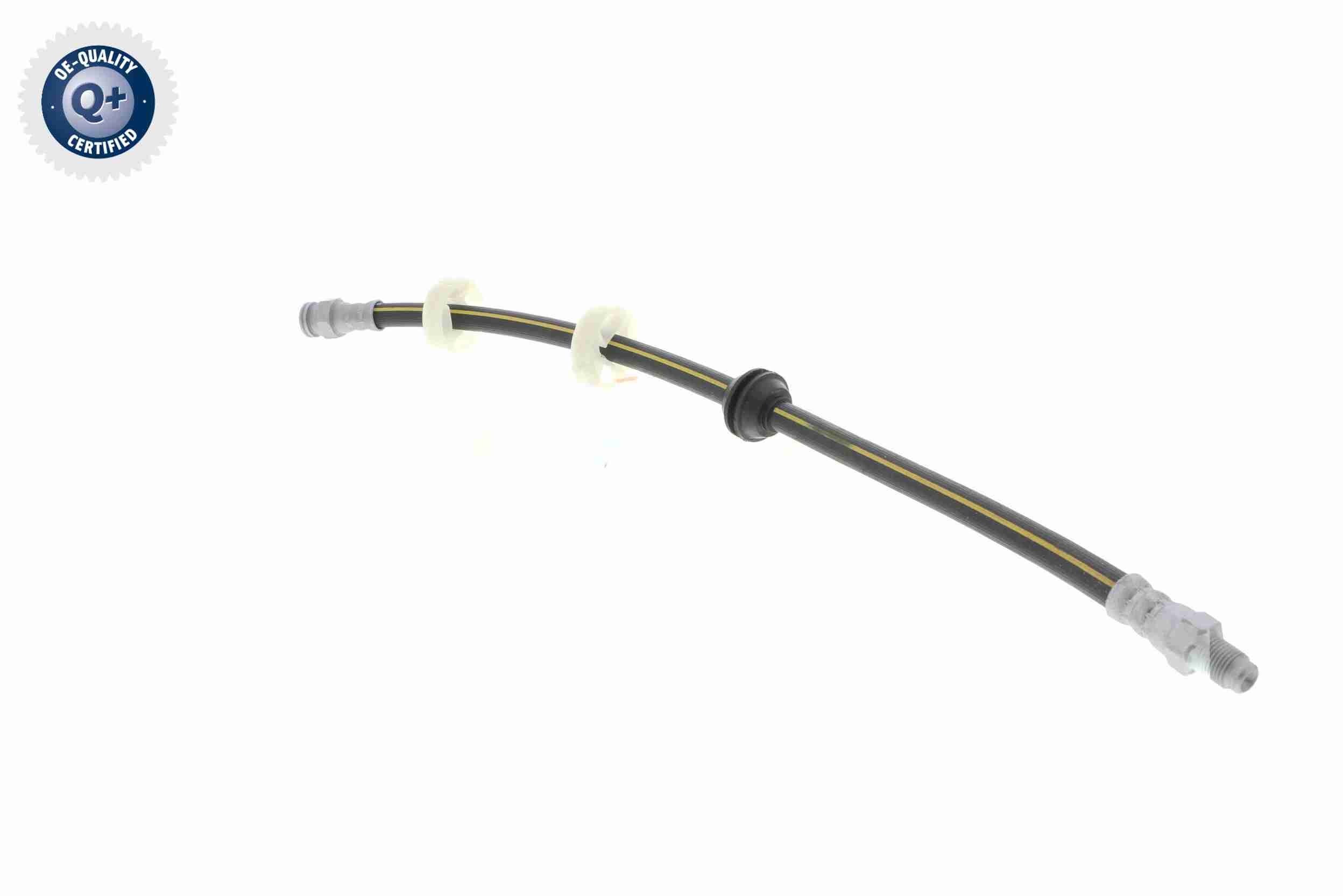 Vaico Remslang V24-0081