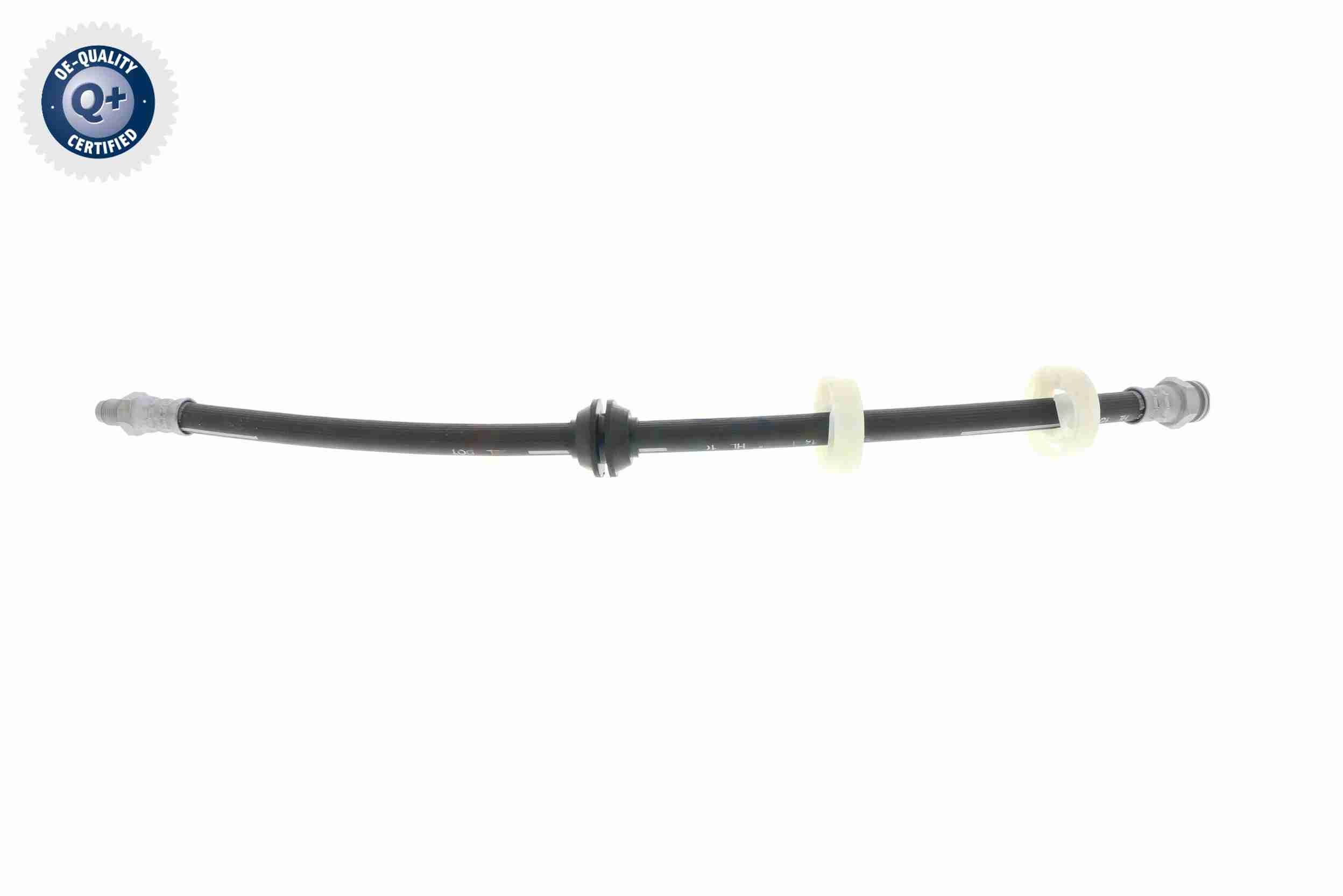 Vaico Remslang V24-0081