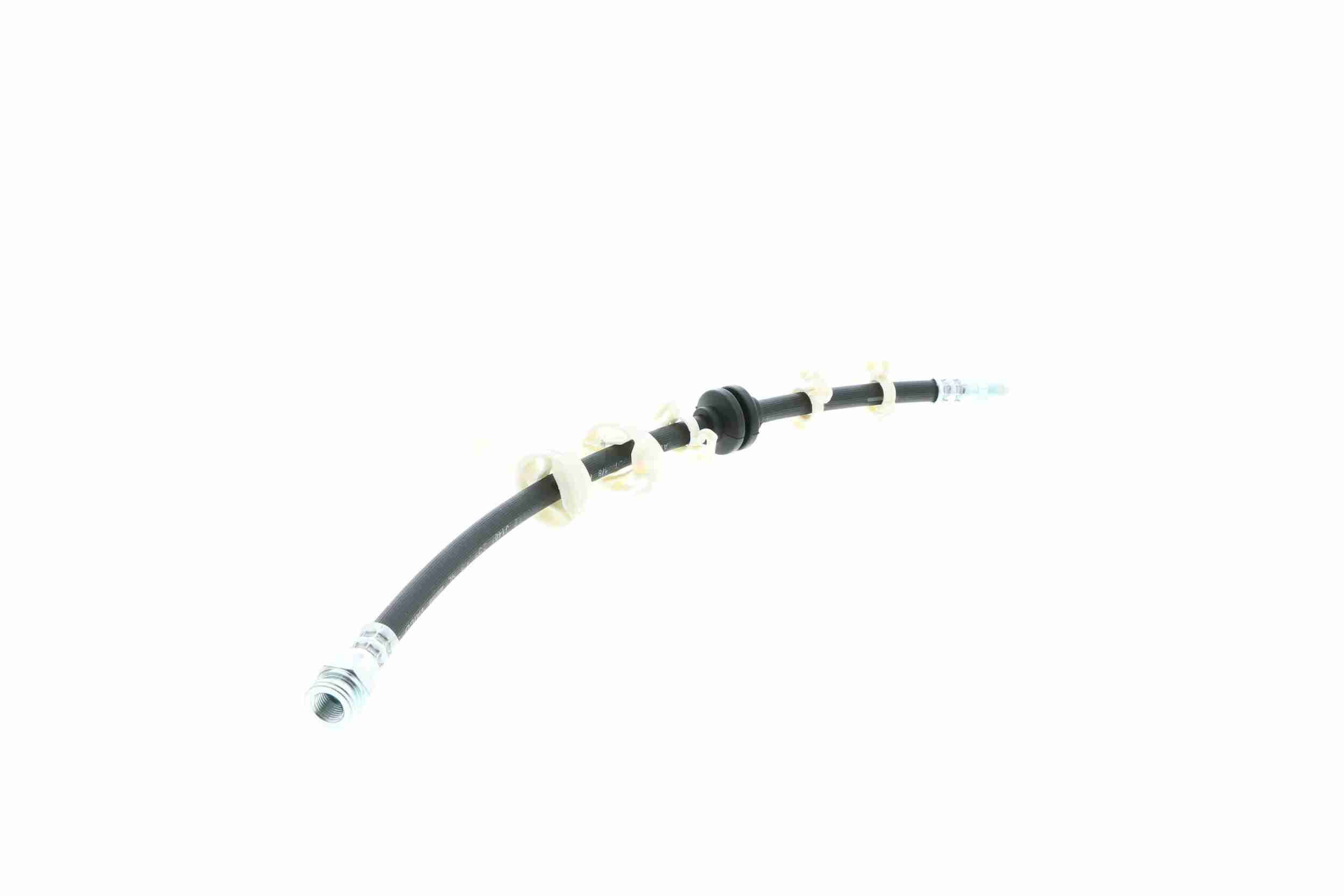 Vaico Remslang V24-0083