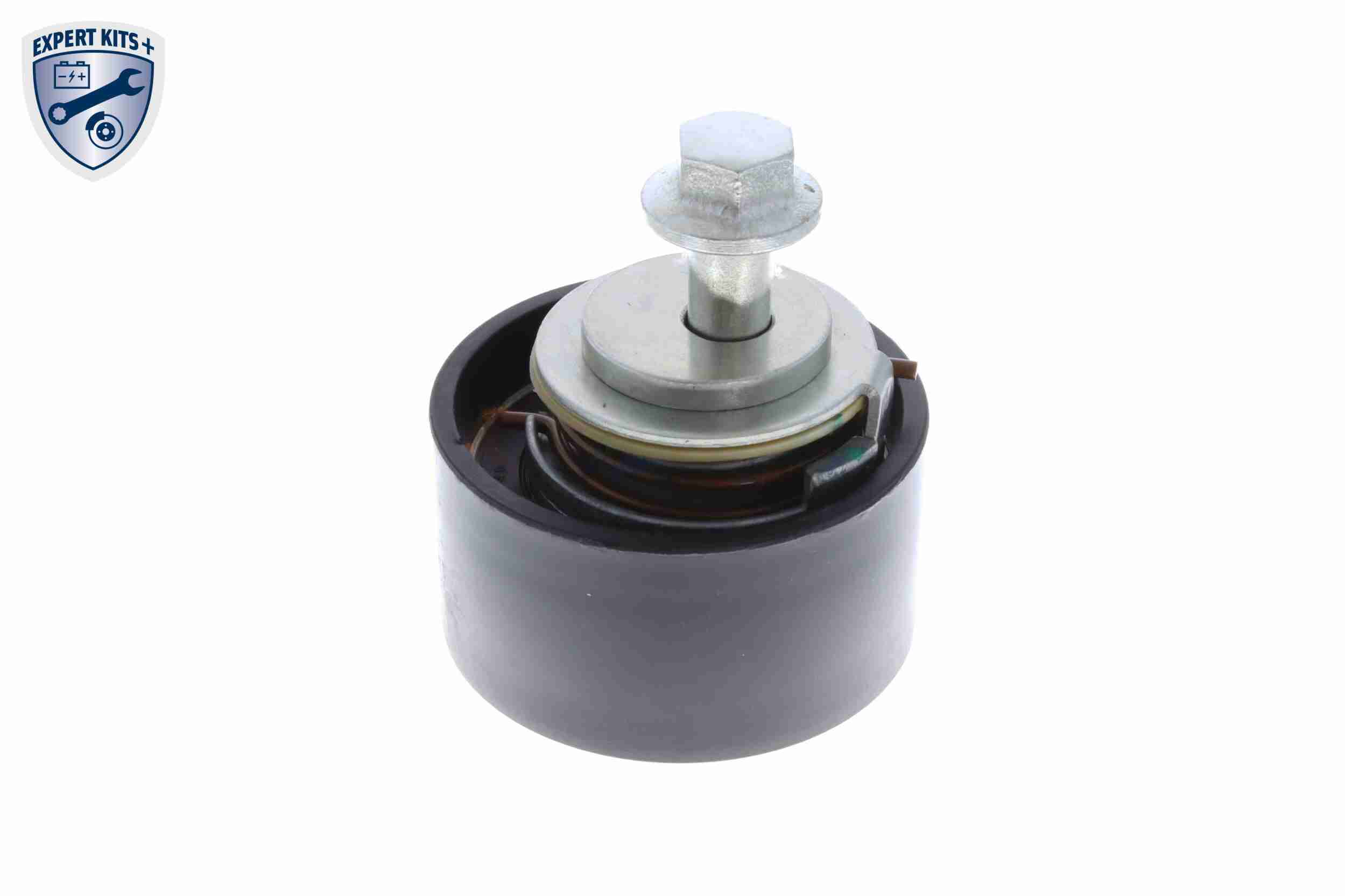 Vaico Spanrol distributieriem V25-0677