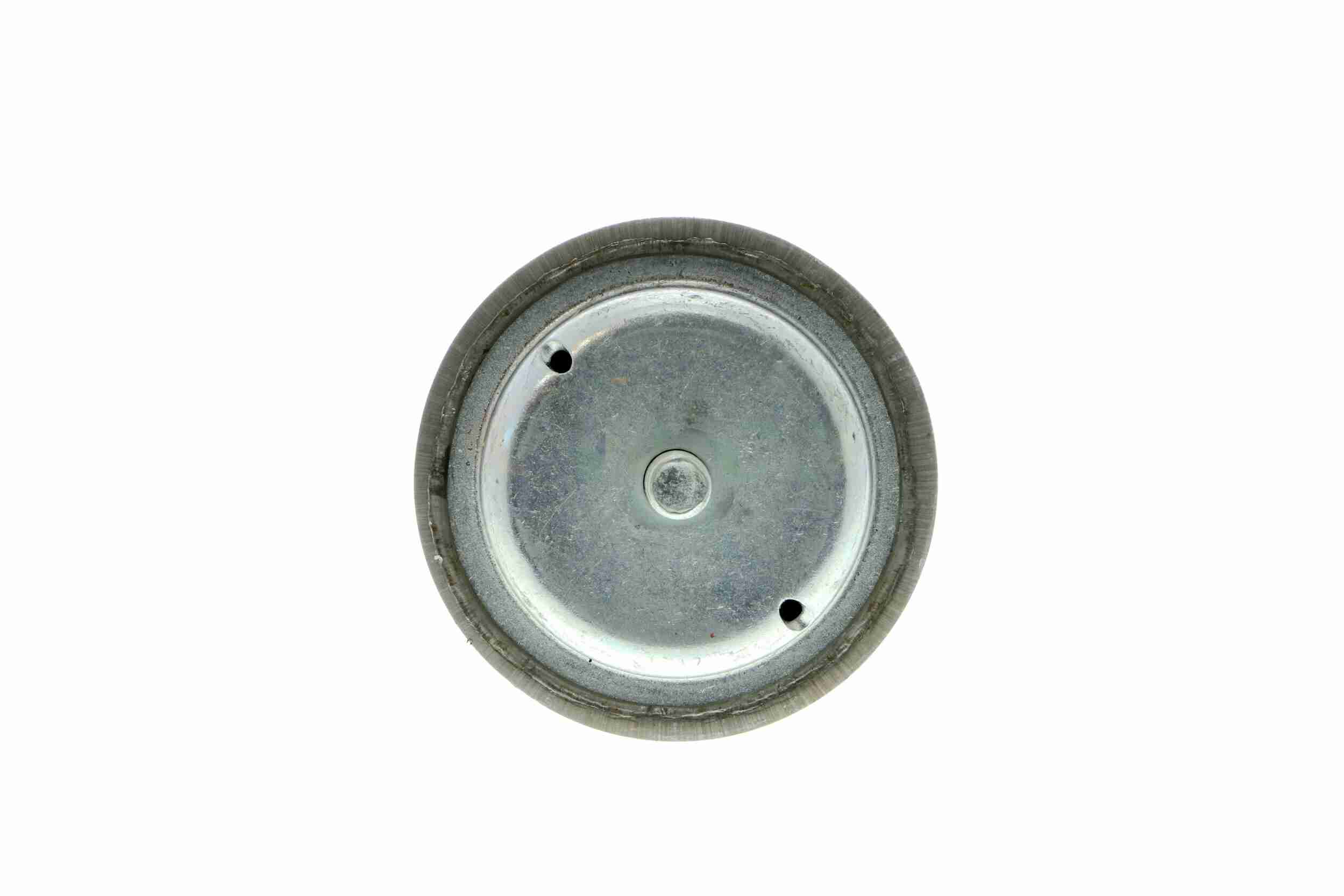 Vaico Motorsteun V42-0005