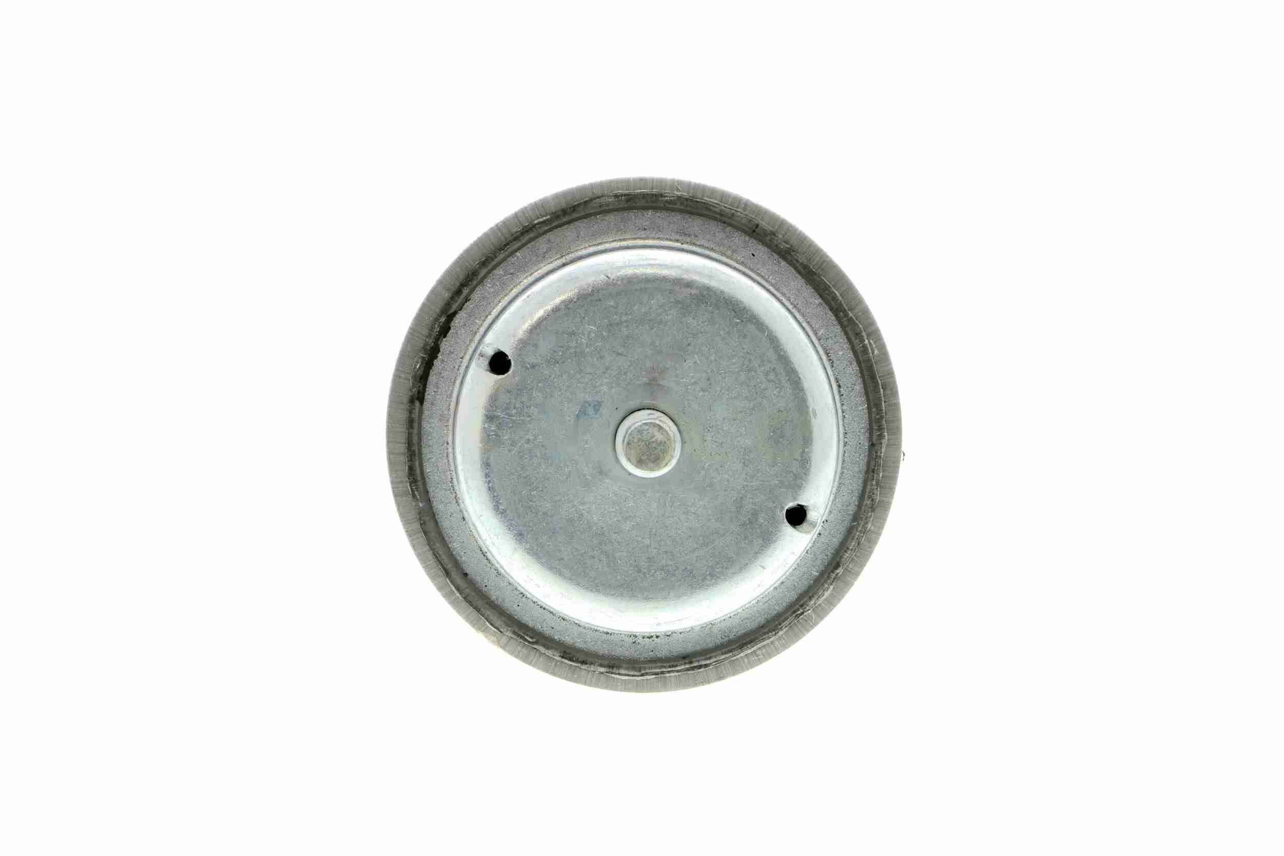 Vaico Motorsteun V42-0107