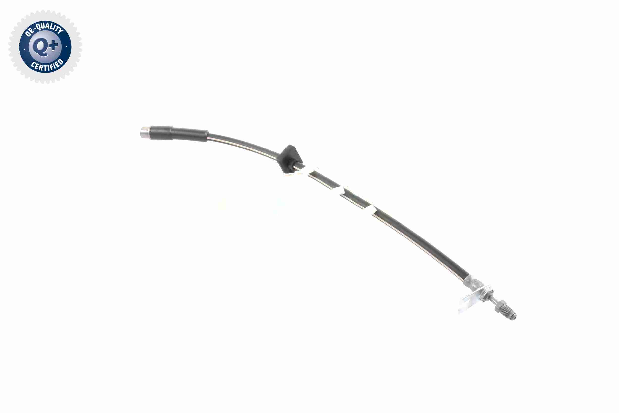 Vaico Remslang V42-0168