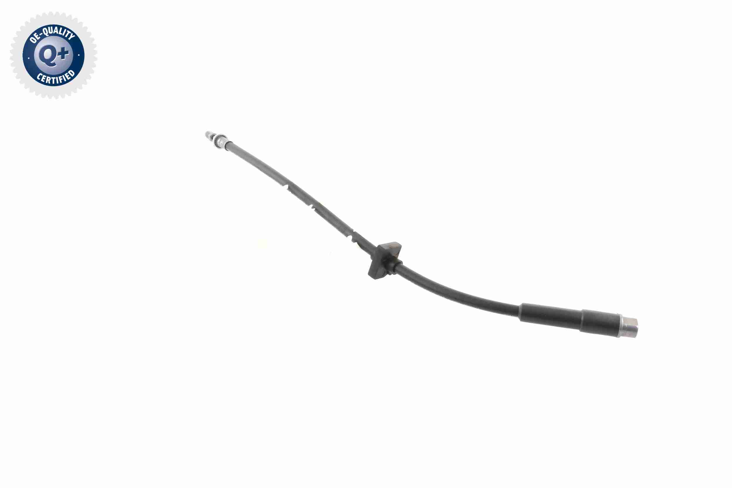 Vaico Remslang V42-0168