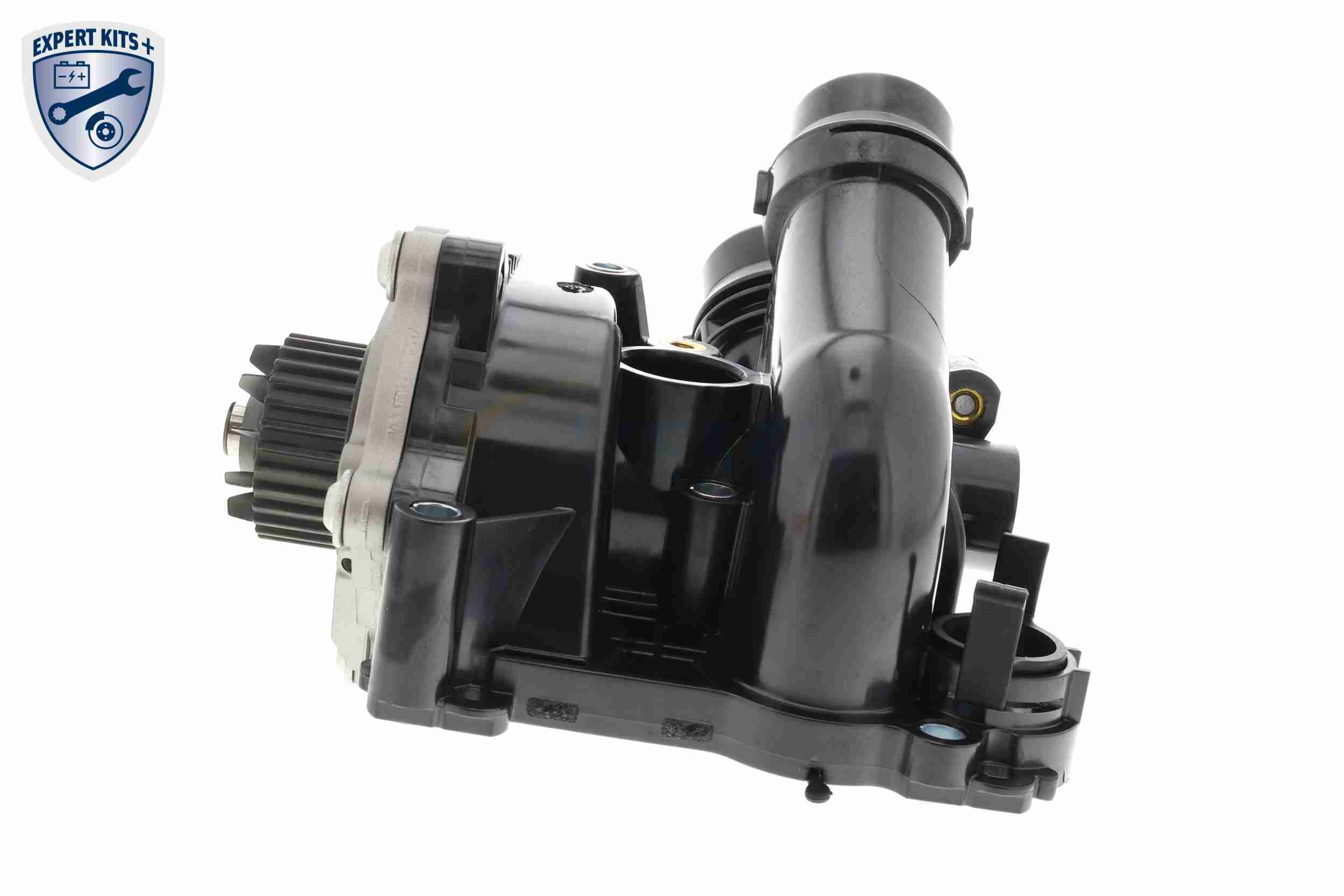 Vemo Distributieriem kit inclusief waterpomp V15-99-2114