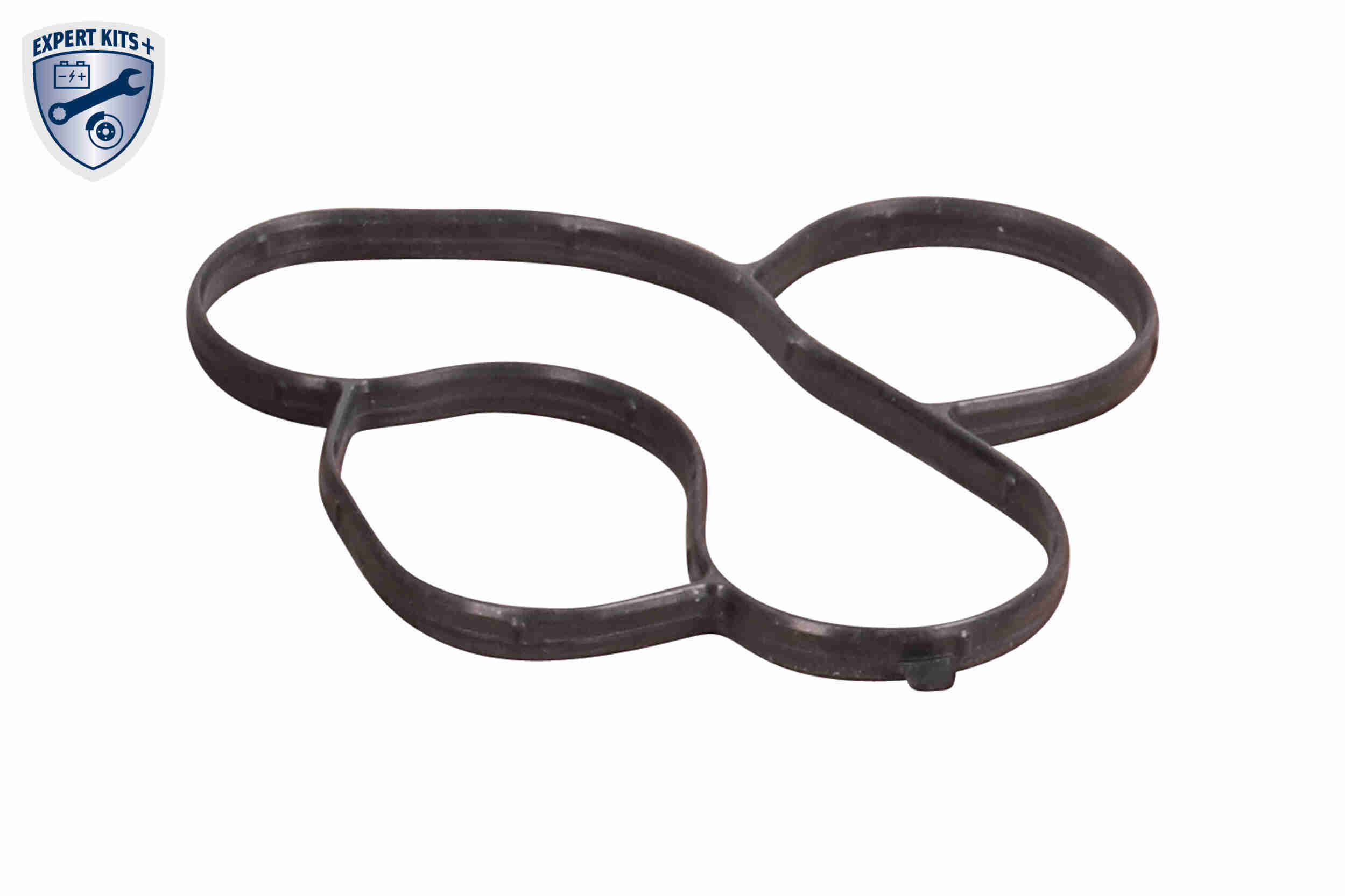 Vemo Distributieriem kit inclusief waterpomp V15-99-2129