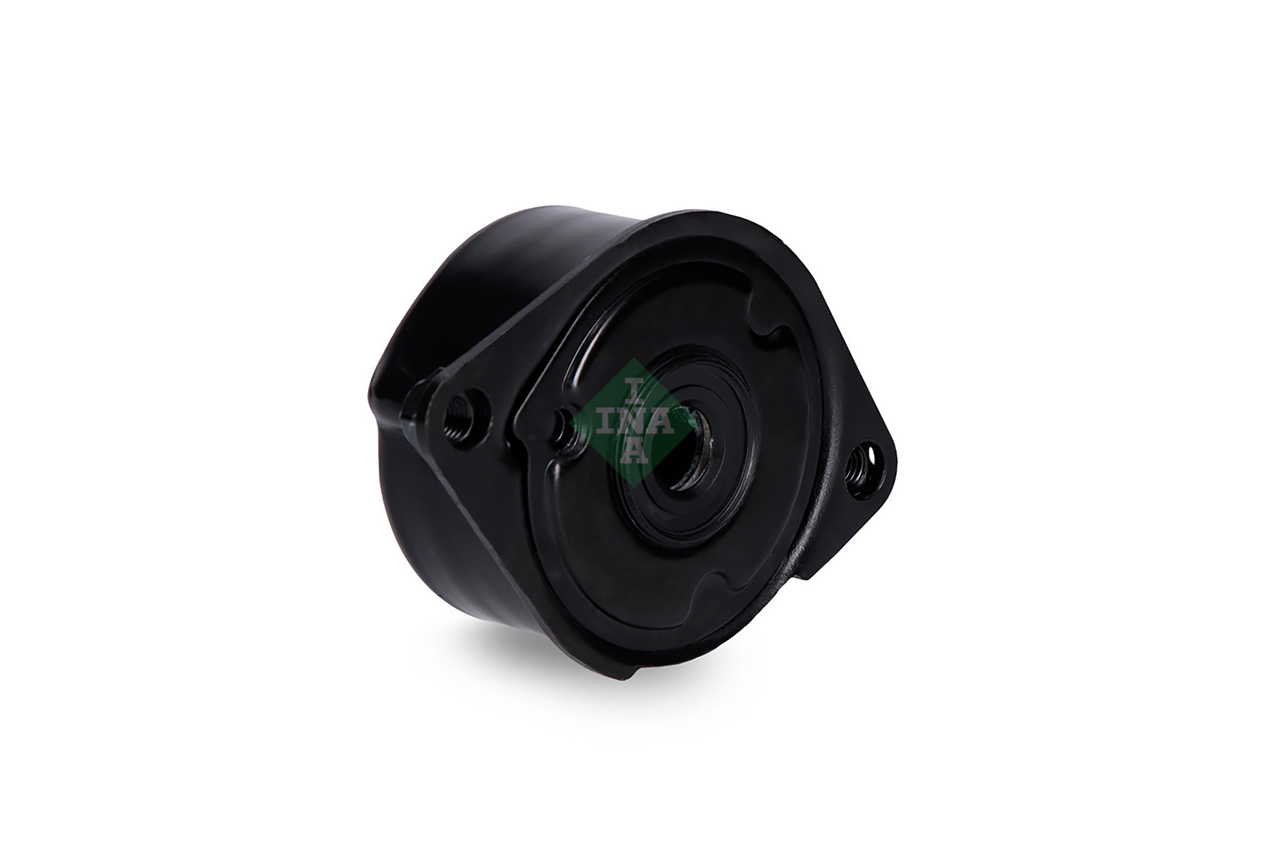 INA Spanner poly V-riem 534 0171 10