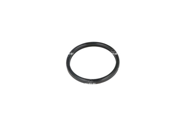 NRF Thermostaat 725127