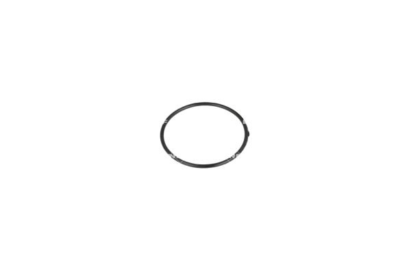 NRF Thermostaat 725296