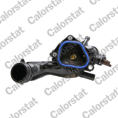 Calorstat By Vernet Thermostaat TE7145.105J