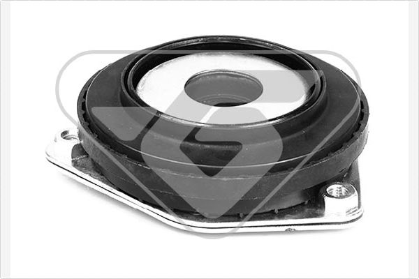 Veerpootlager & rubber Hutchinson 590130