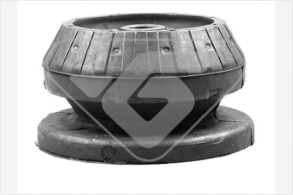 Veerpootlager & rubber Hutchinson 590133