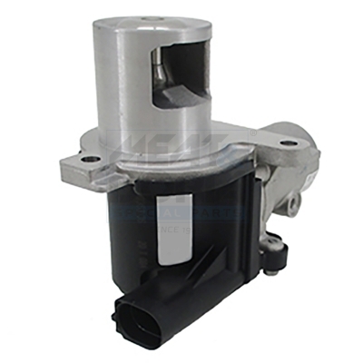 EGR-klep Meat Doria 88091E