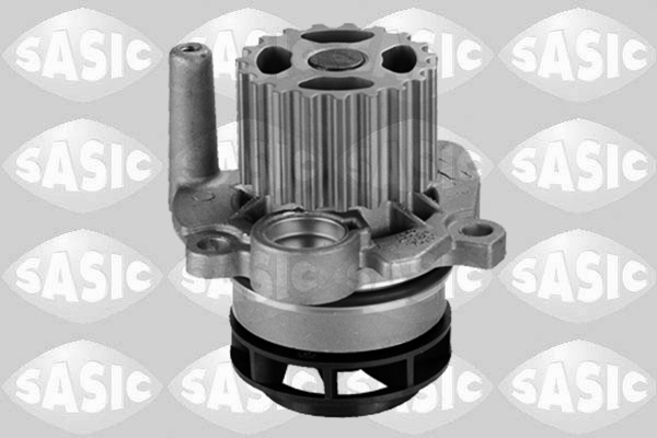 Waterpomp Sasic 3606097