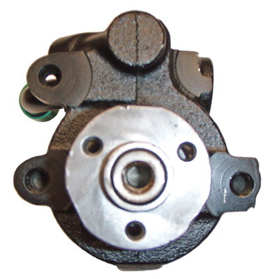 Lizarte Servopomp 04.09.0303