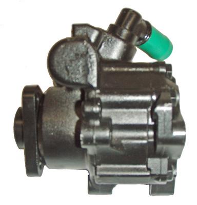 Lizarte Servopomp 04.13.0070