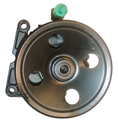 Lizarte Servopomp 04.13.0102