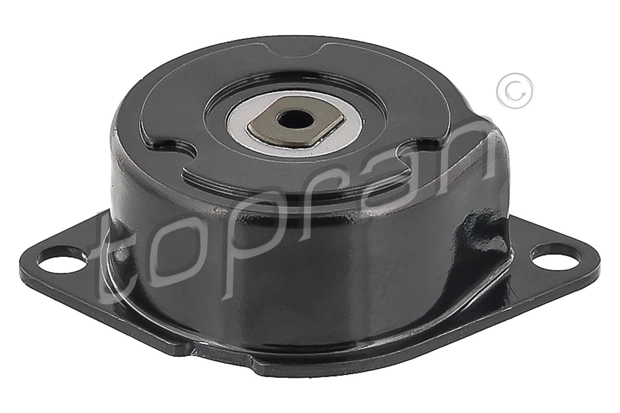 Spanner poly V-riem Topran 108 414