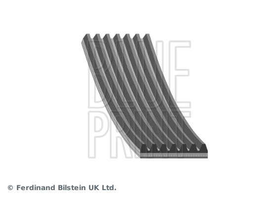 Poly V-riem Blue Print AD07R1970