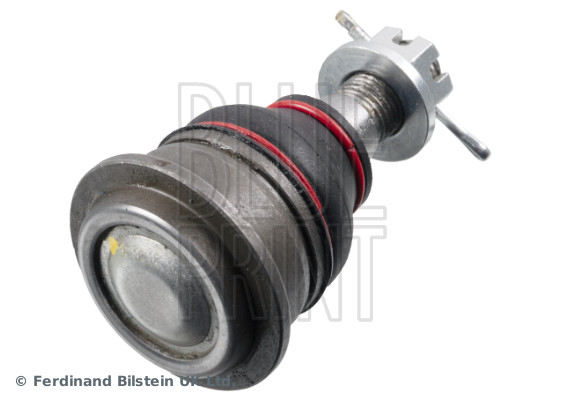 Blue Print Fuseekogel ADN18695