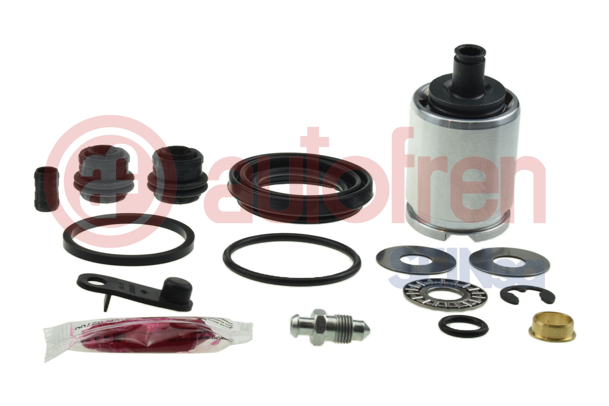 Remklauw revisie Autofren Seinsa D43025K