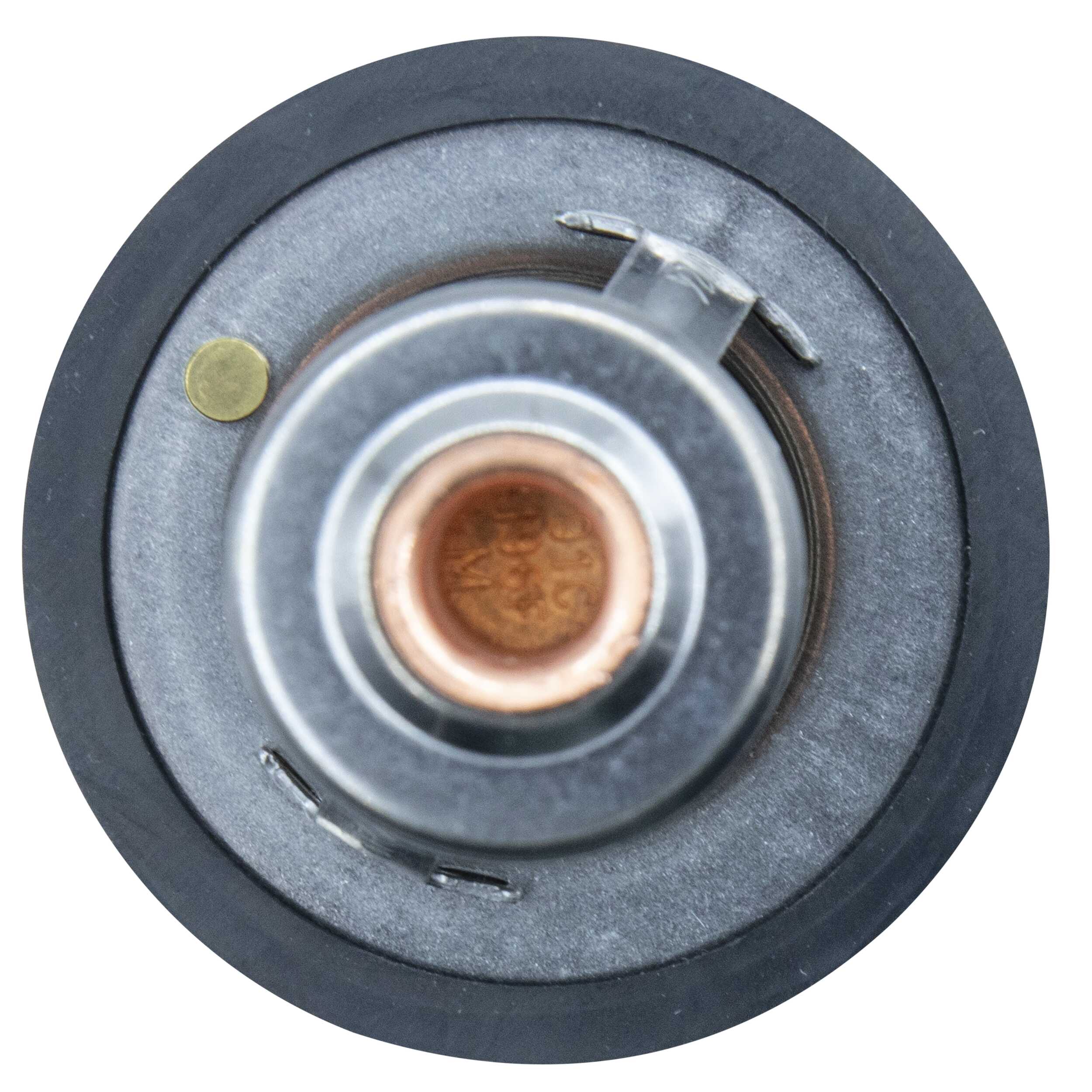 Motorad Thermostaat 363-91K