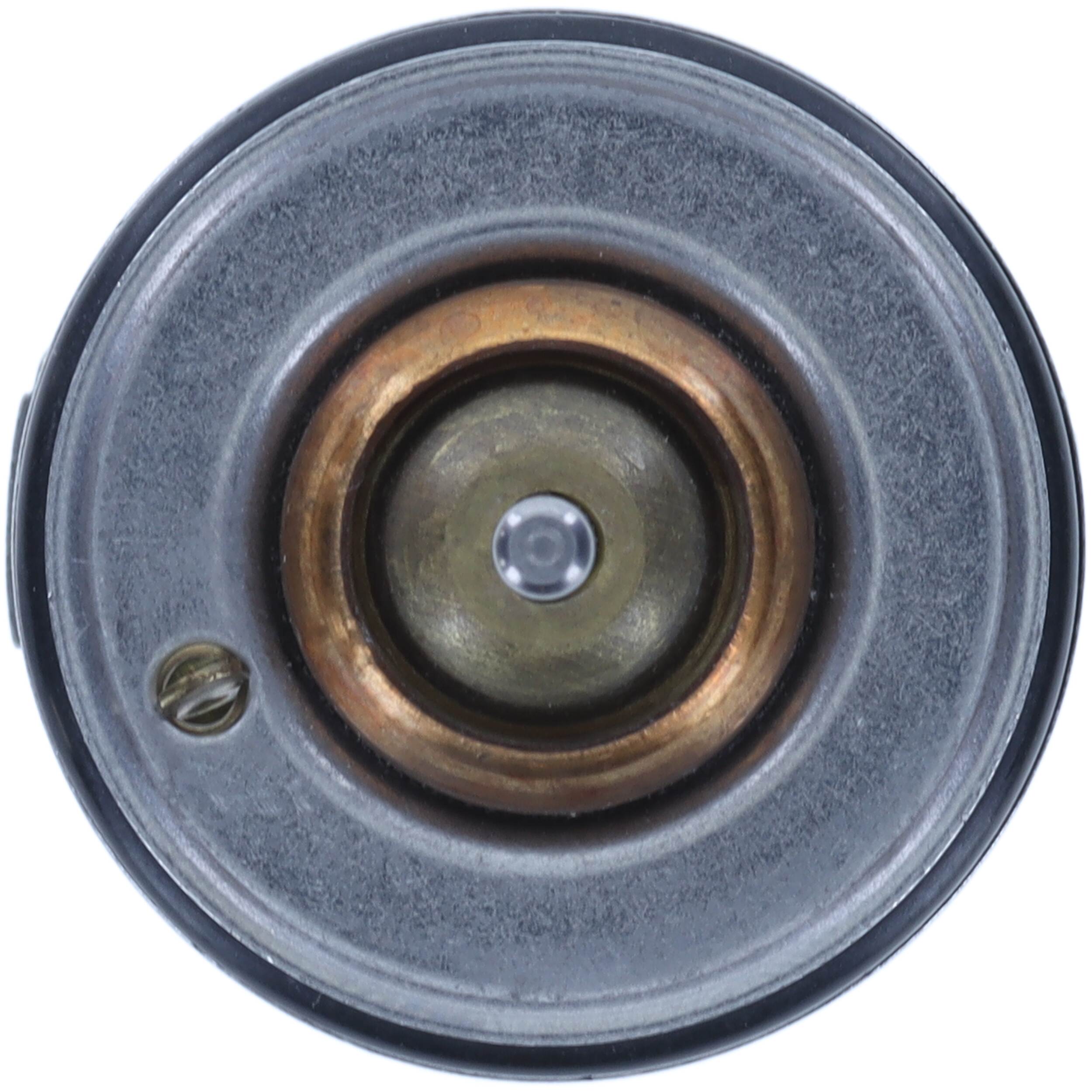 Motorad Thermostaat, koelvloeistof 484-90INSK