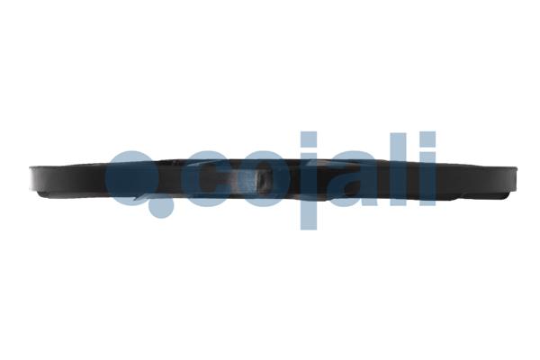 Cojali Ventilatorwiel-motorkoeling 8137601