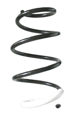 Chassisveer Spidan GKNW10234