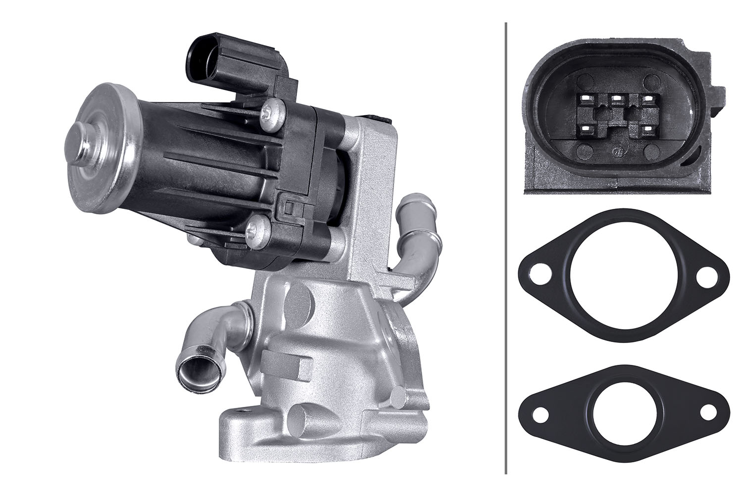 EGR-klep Hella 6NU 010 171-661