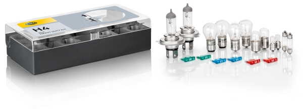 Assortiment, gloeilampen Hella 8GJ 002 525-941